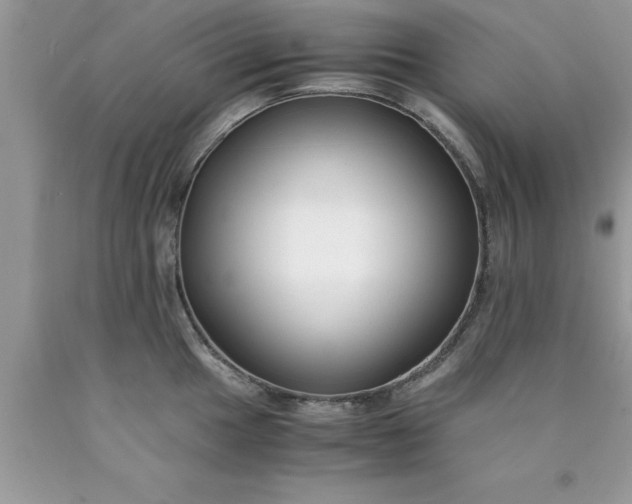 X0000090451049200707272211