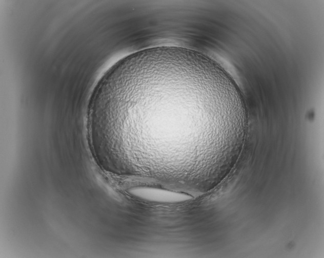 X0000090451051200707272211