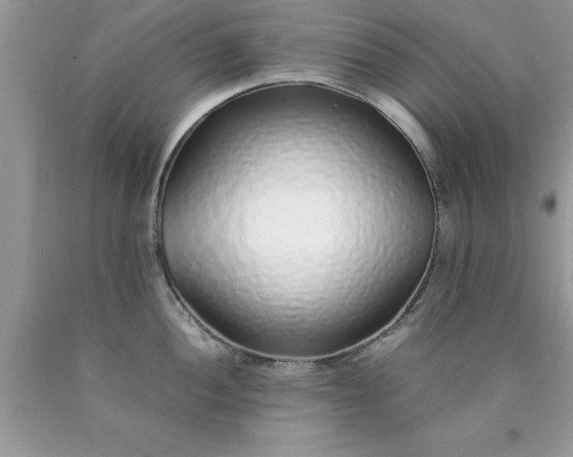 X0000090451052200707272211