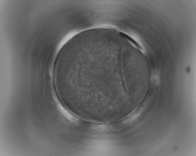 X0000090451054200707272211