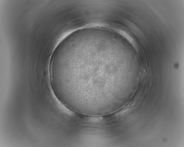 X0000090451055200707272211