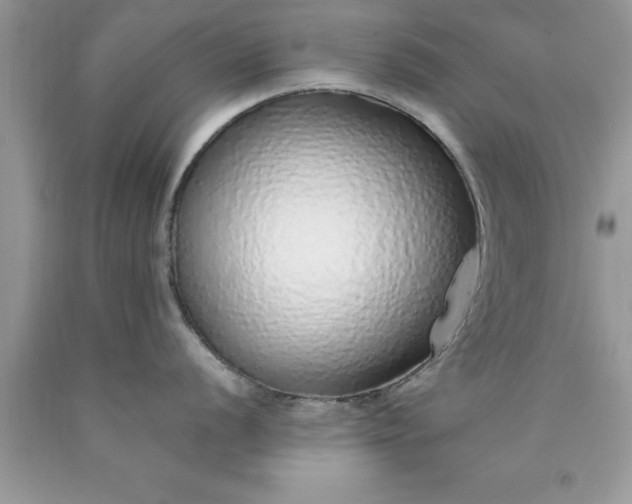 X0000090451056200707272211