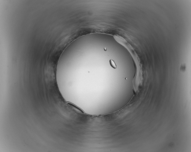 X0000090451058200707272211