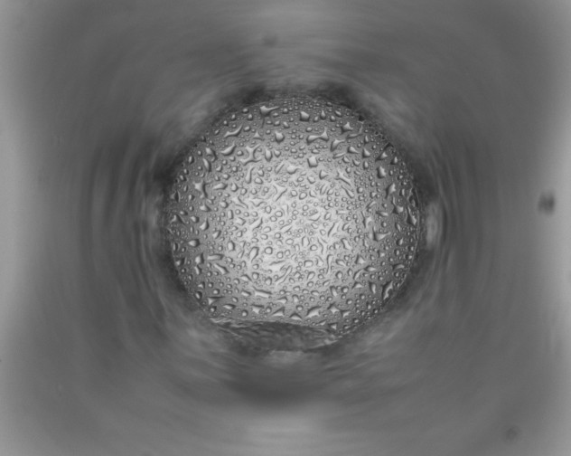 X0000090451059200707272211