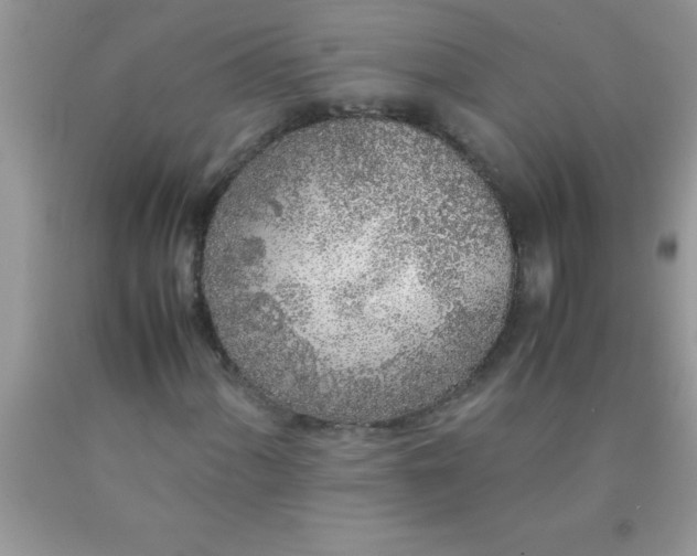 X0000090451060200707272211