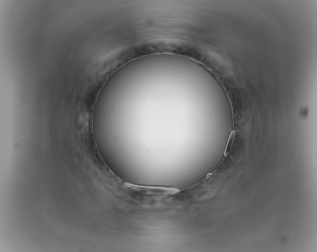 X0000090451061200707272210