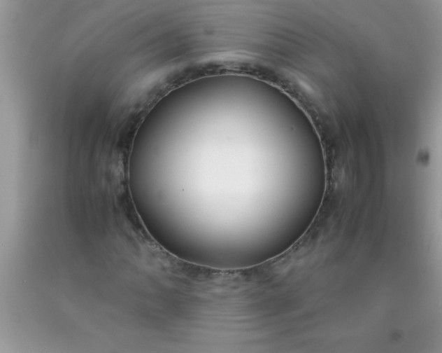 X0000090451062200707272210