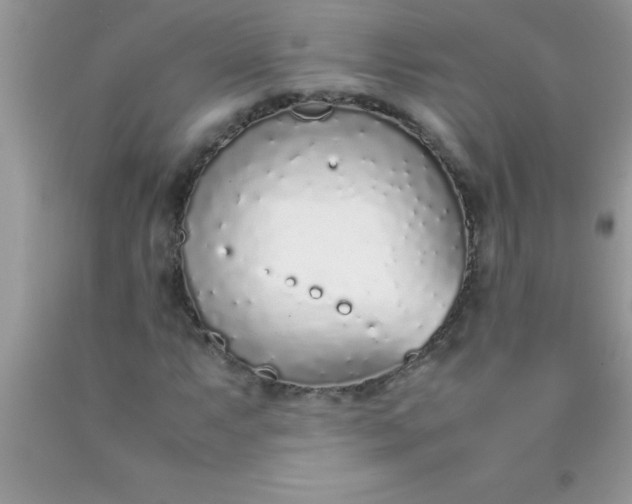 X0000090451063200707272210