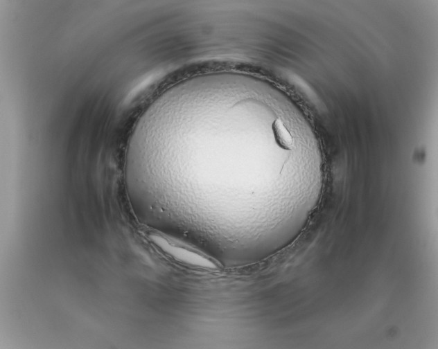 X0000090451064200707272210