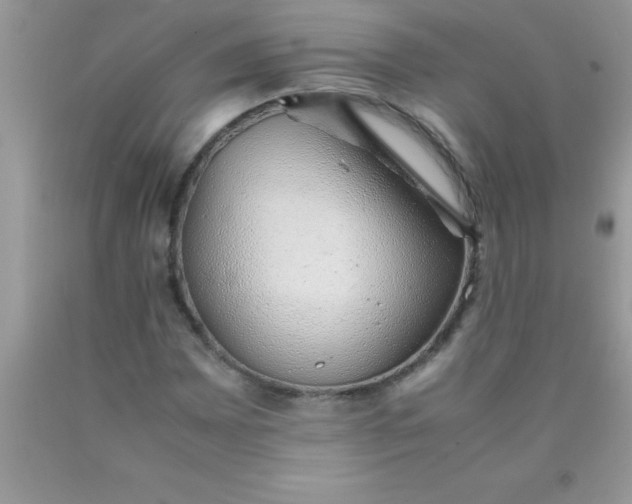 X0000090451065200707272210