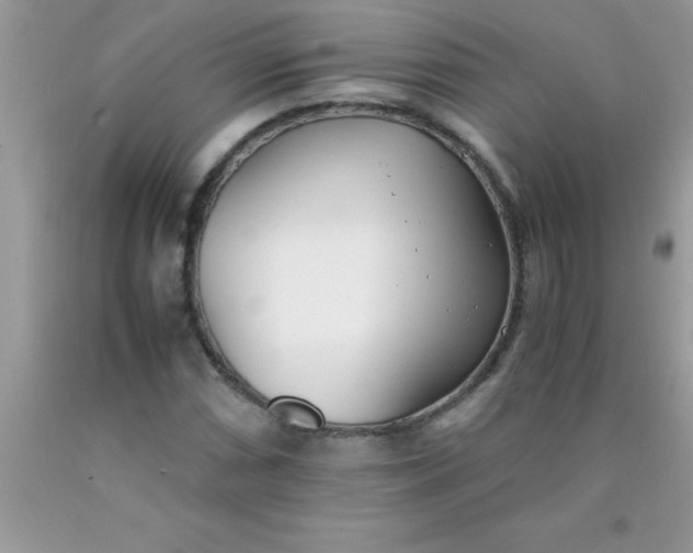 X0000090451066200707272210