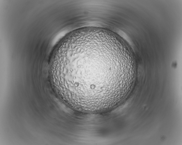 X0000090451067200707272210