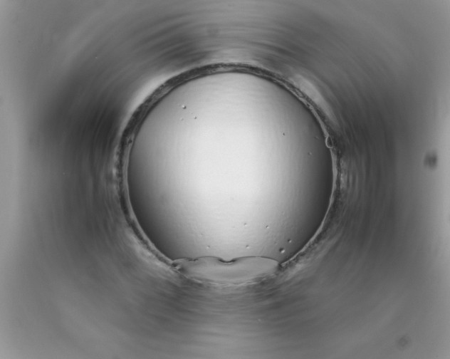 X0000090451068200707272210