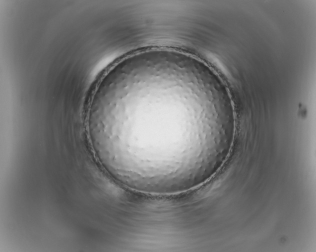 X0000090451071200707272210