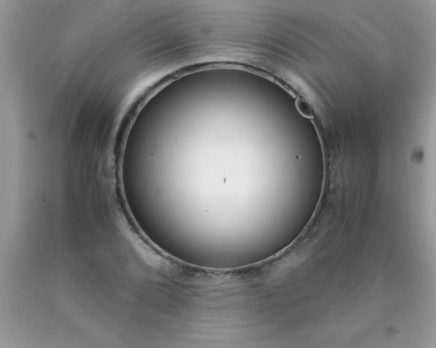 X0000090451072200707272210