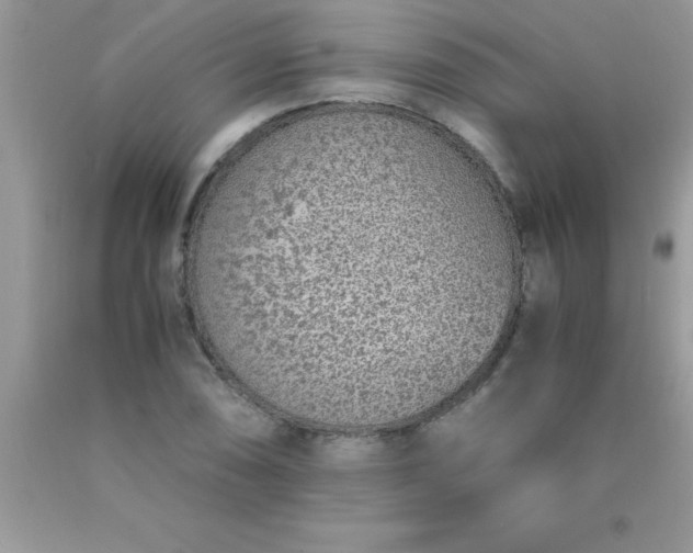 X0000090451074200707272210