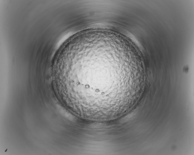 X0000090451075200707272210