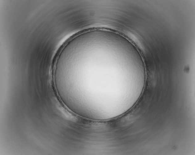 X0000090451076200707272210