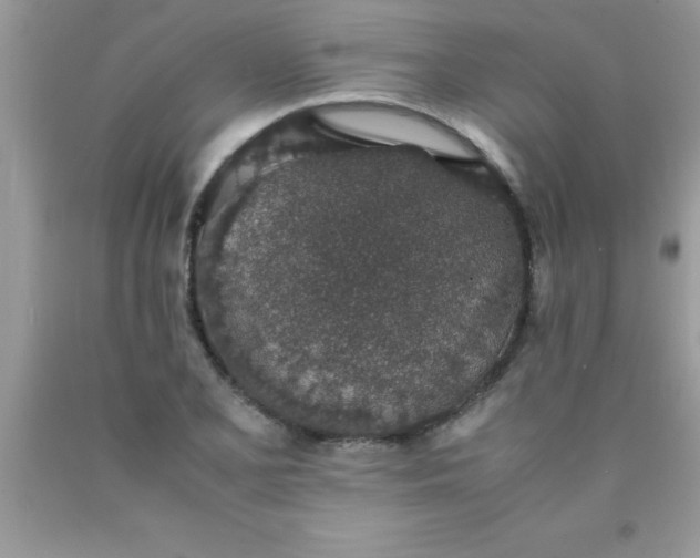 X0000090451077200707272210