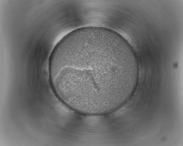 X0000090451078200707272210