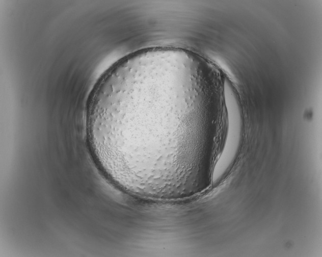 X0000090451079200707272210