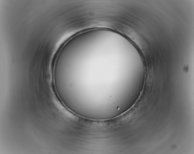 X0000090451080200707272210