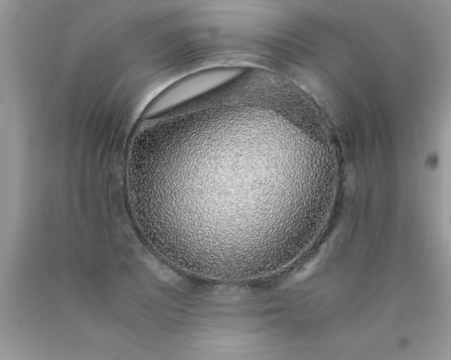 X0000090451081200707272210