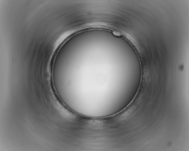 X0000090451082200707272210