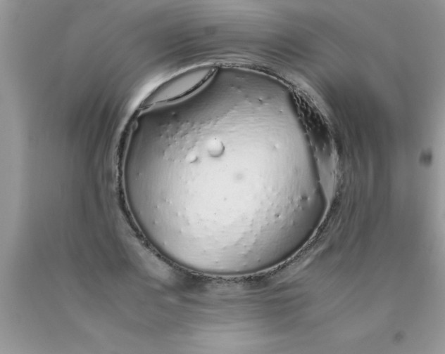 X0000090451083200707272210