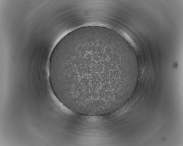 X0000090451084200707272210