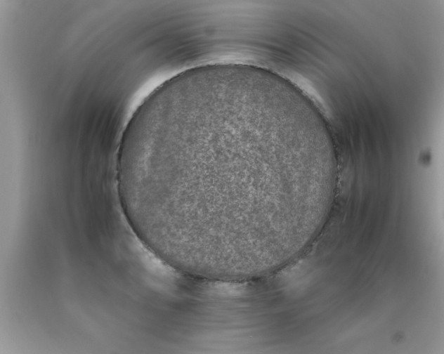 X0000090451086200707272210