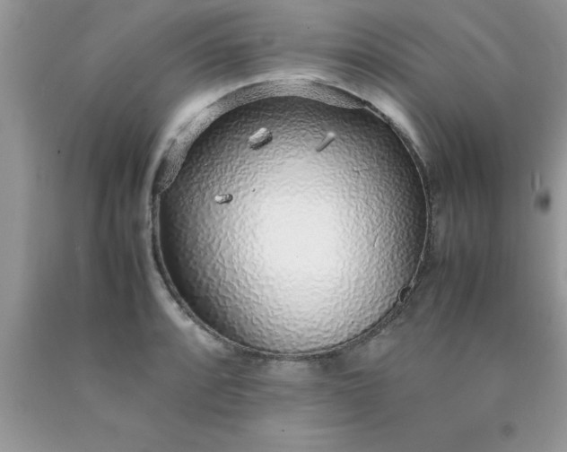 X0000090451088200707272210