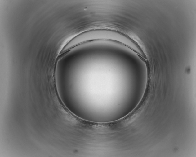 X0000090451089200707272210