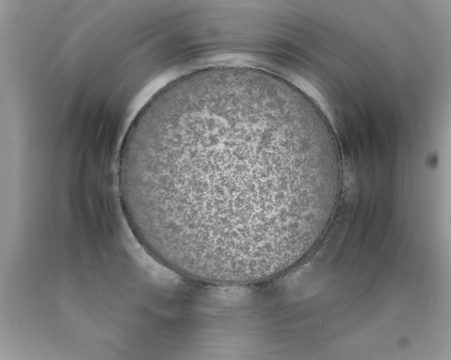 X0000090451090200707272210