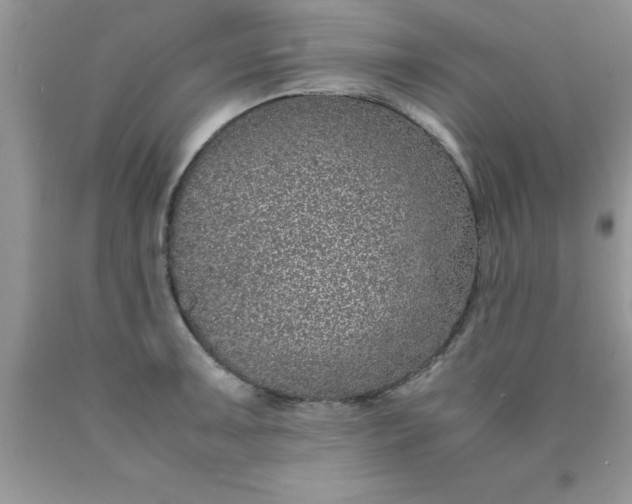 X0000090451091200707272210