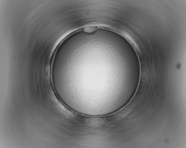 X0000090451092200707272210