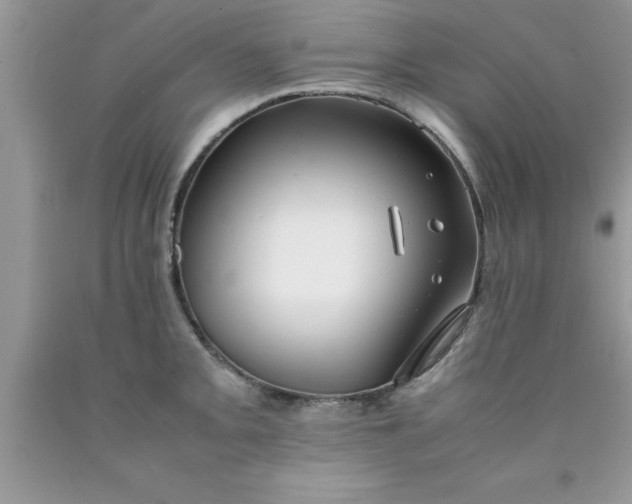 X0000090451093200707272210