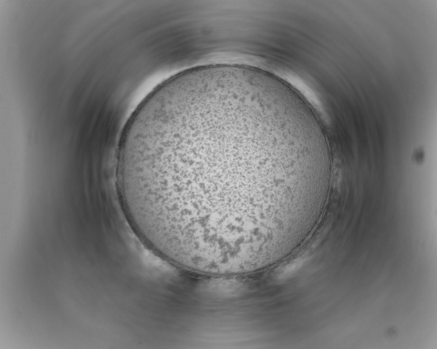 X0000090451094200707272210