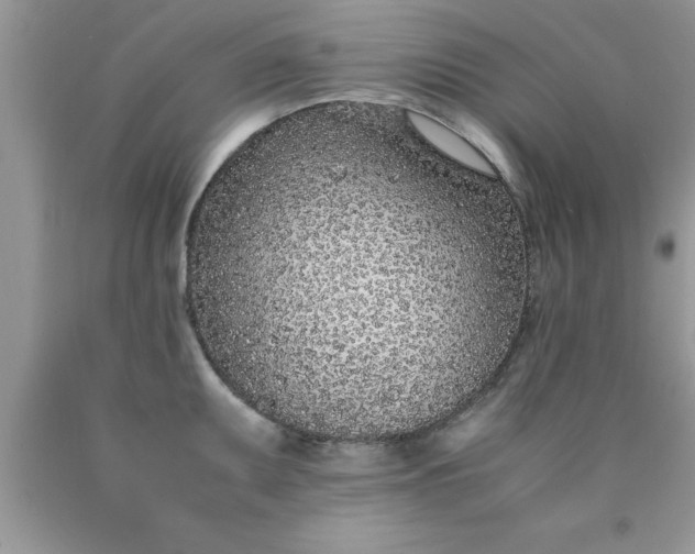 X0000090451095200707272210