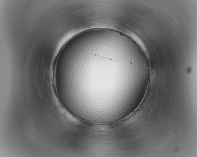 X0000090451096200707272210