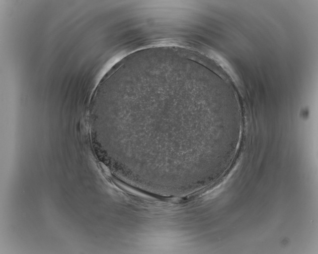 X0000090451097200707272210