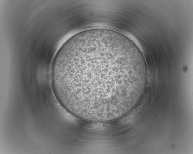 X0000090451098200707272210