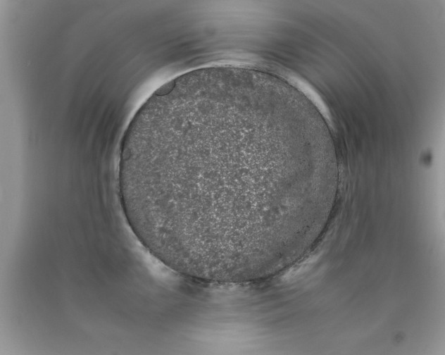 X0000090451099200707272210