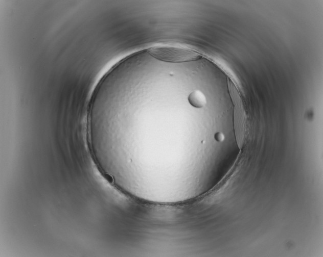 X0000090451100200707272210