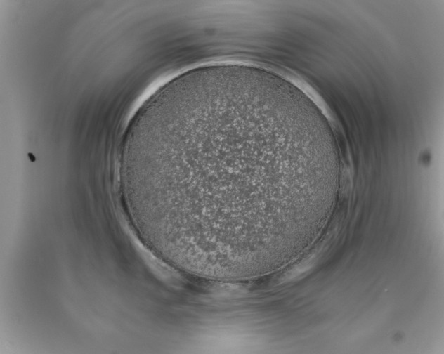 X0000090451101200707272210