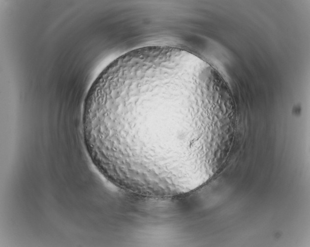 X0000090451103200707272210