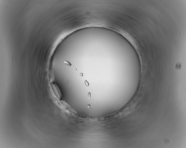 X0000090451104200707272210