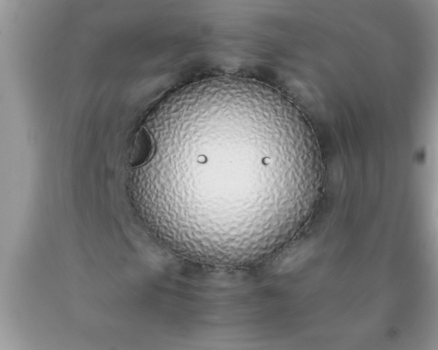 X0000090451105200707272209