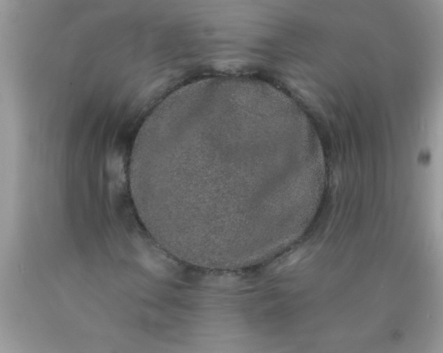 X0000090451106200707272209