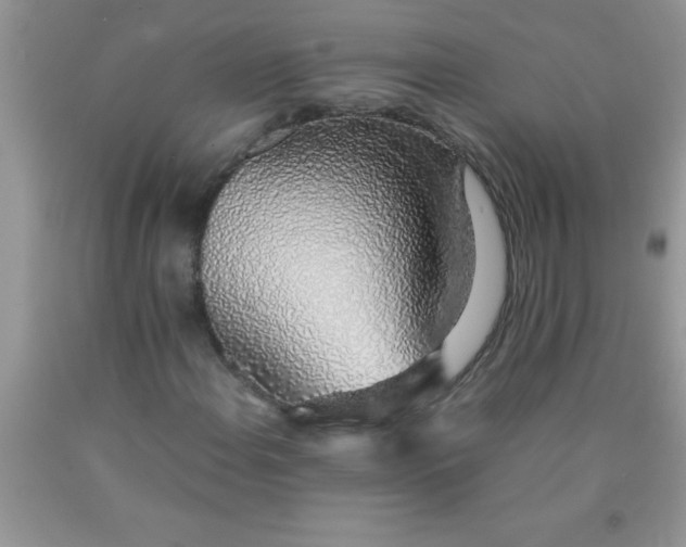 X0000090451108200707272209